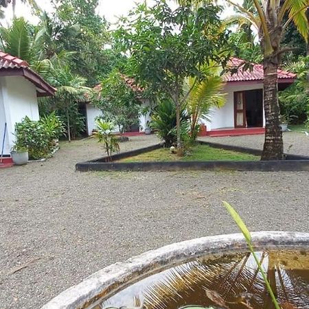Blue Whale Lagoon Resort Ахангама Экстерьер фото
