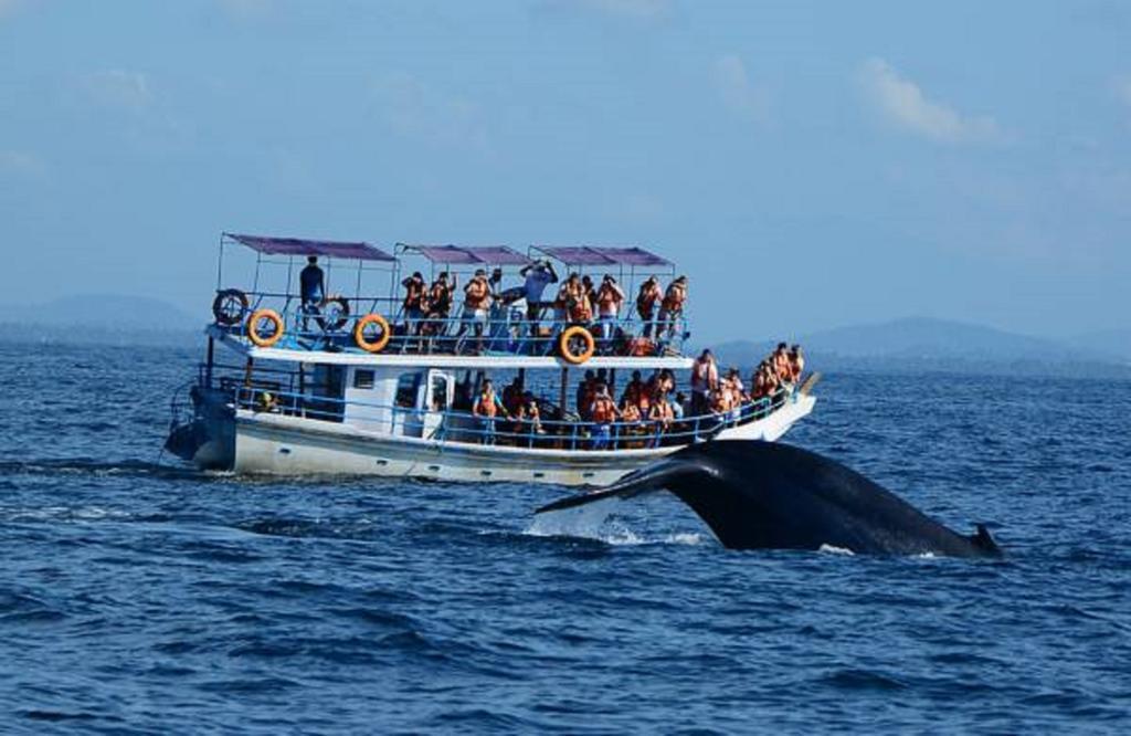 Blue Whale Lagoon Resort Ахангама Экстерьер фото